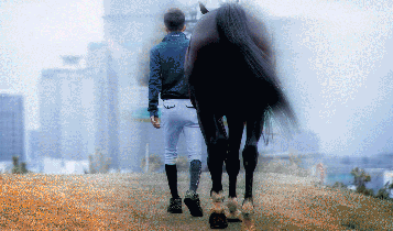 Horse Times Egypt: Equestrian Magazine :Articles :TOKYO OLYMPICS  2020, TO BE OR NOT TO BE